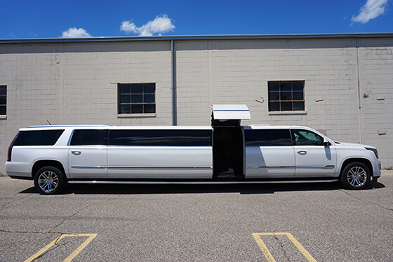 20-passenger limo rental